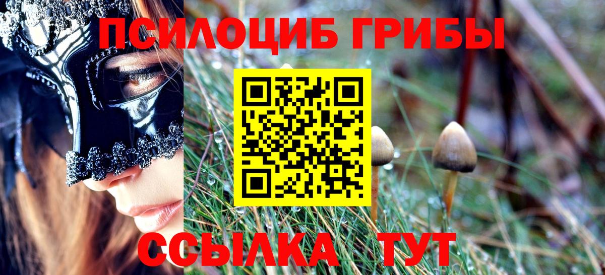 Галлюциногенные грибы Magic Shrooms  Псилоцибиновые грибы прущие грибы  Вход с VPN  Ливны 