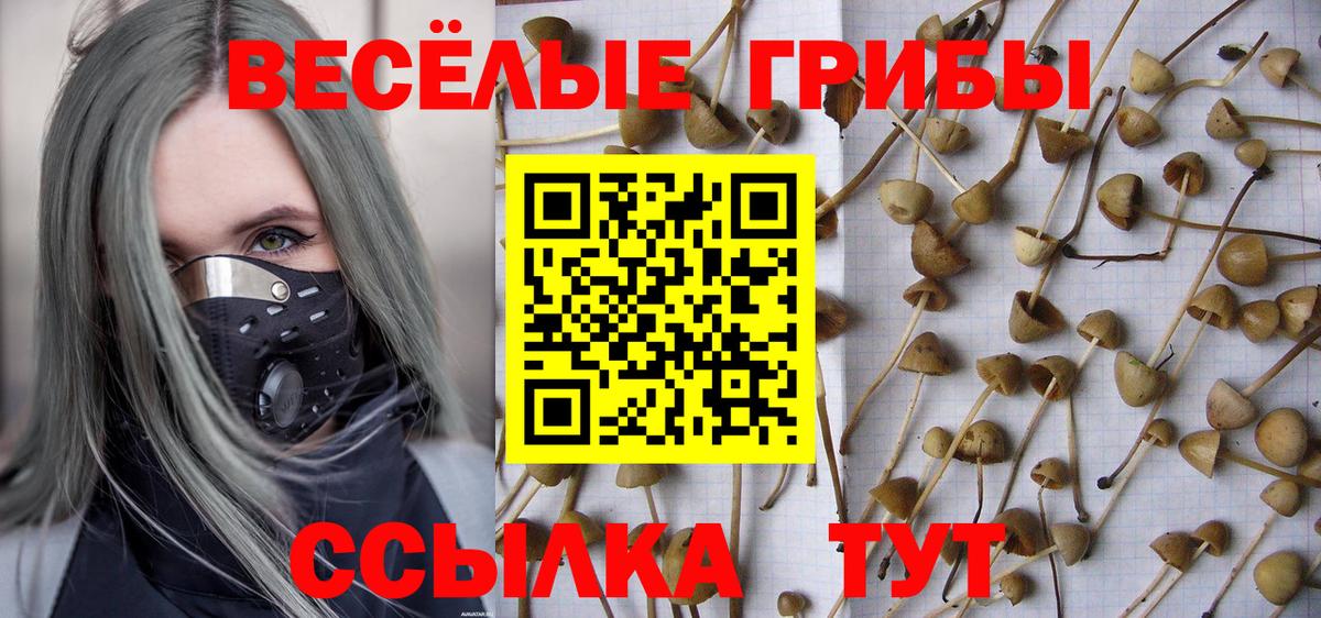 Галлюциногенные грибы ЛСД Ливны